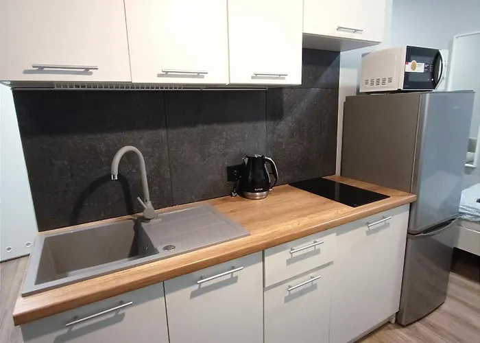 Apartman Steelpoint Centrum Dostep Na Kod Łódź